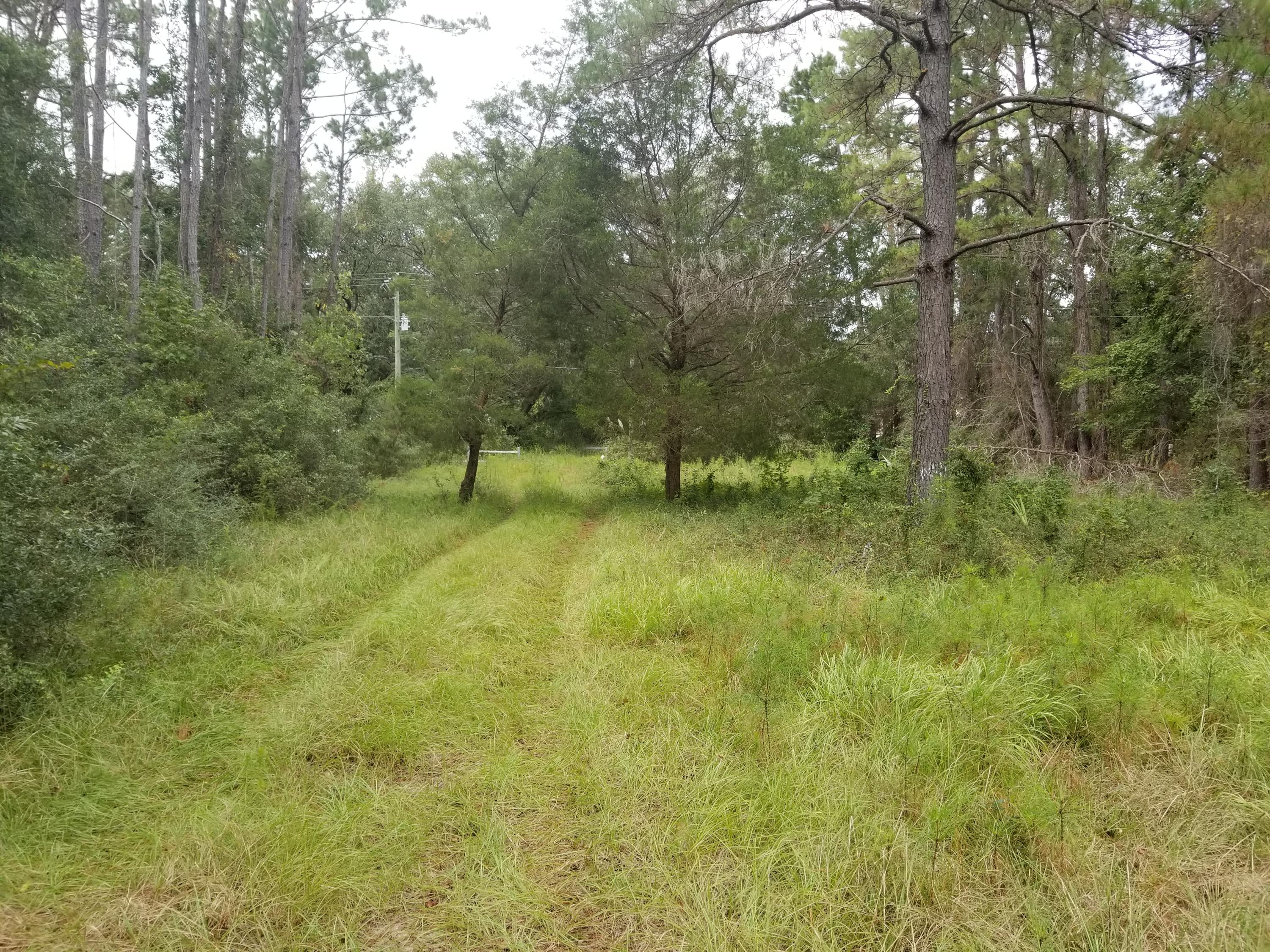 2893 Bohicket Road Johns Island, SC 29455 - Photo 1 of 3 Bohicket fla