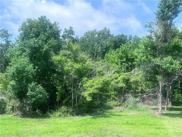 Lot 22 Palm Street Lafitte, LA 70067 - Photo 5 of 10