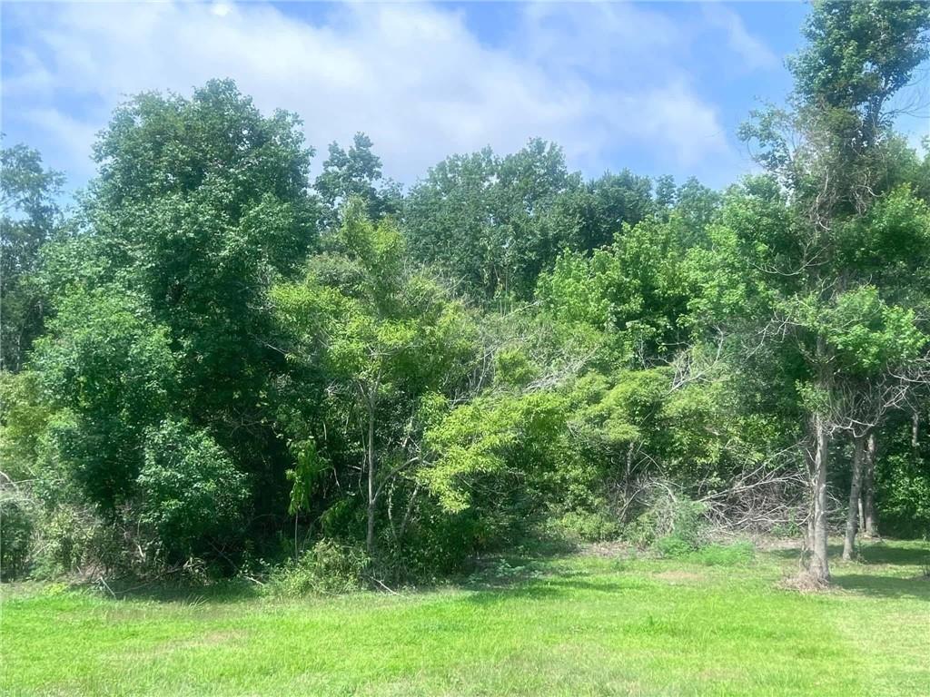 Lot 22 Palm Street Lafitte, LA 70067 - Photo 10 of 10