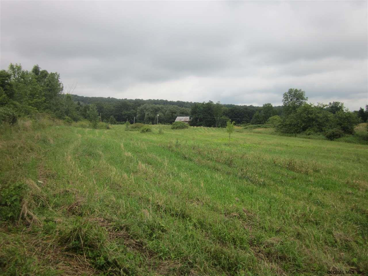 Shellstone Road Amsterdam, NY 12010 - Photo 3 of 11 Photo 3