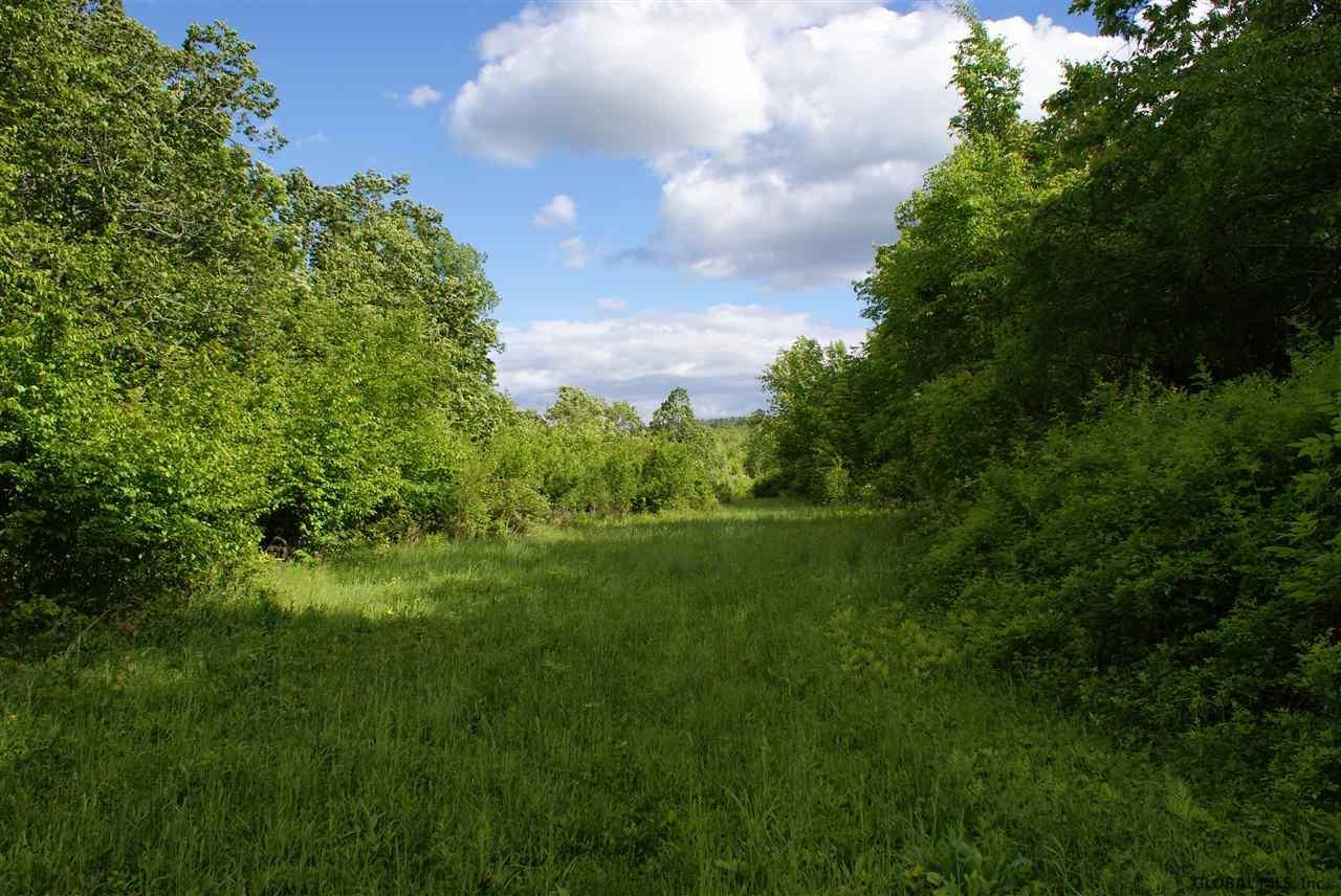 Shellstone Road Amsterdam, NY 12010 - Photo 10 of 11 Photo 10