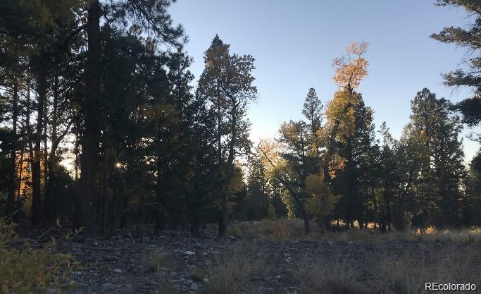 109 109 Deer Run Mosca, CO 81146 - Photo 2 of 3 a view of outdoor space and yard