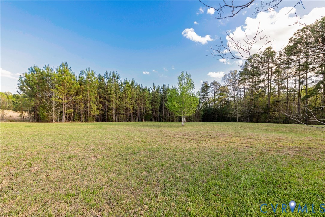 1895 Cemetery Road Chase City, VA 23924 - Photo 46 of 83 a view of a field with trees in the background