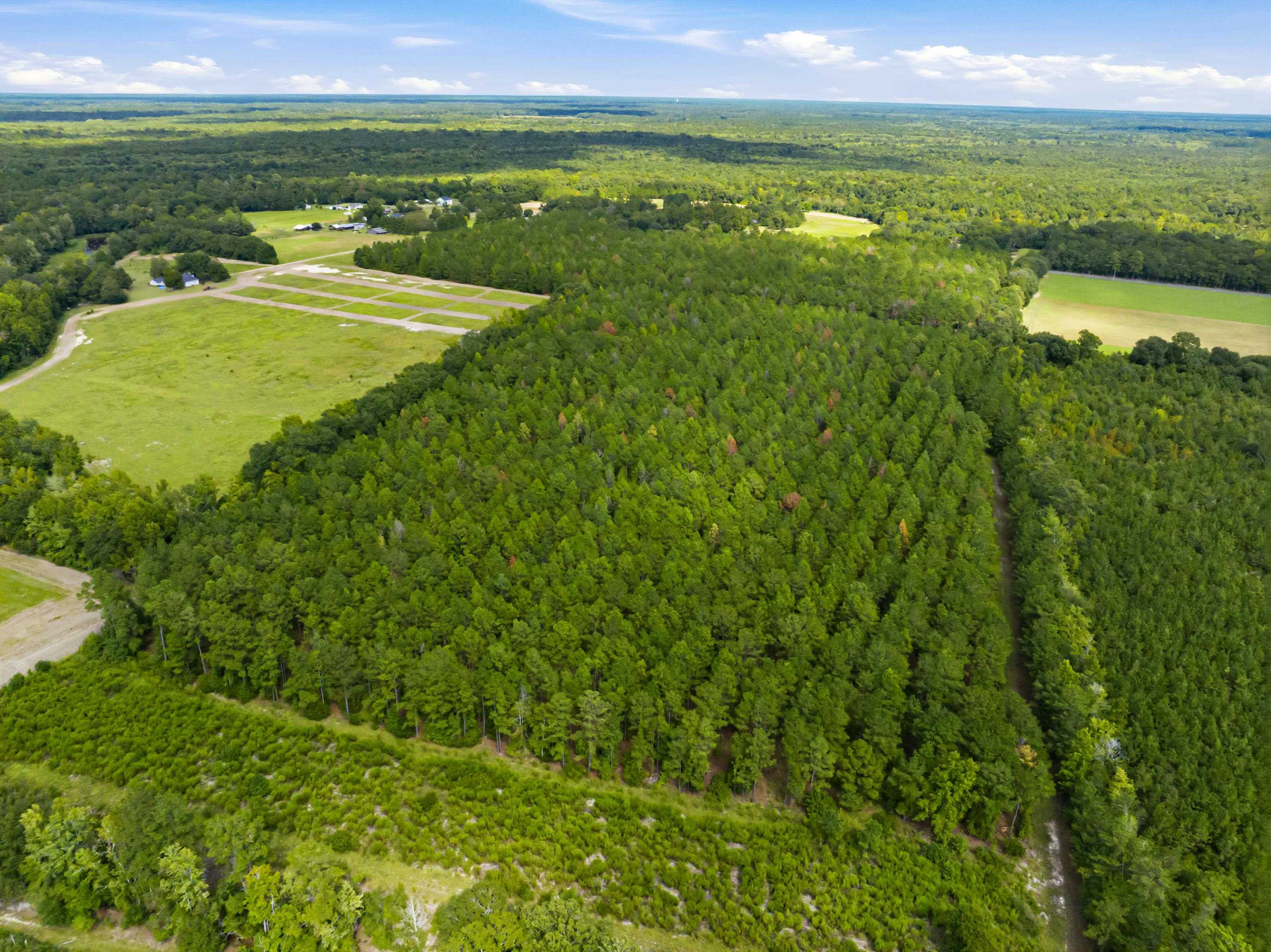 1569 Dave Plowden Pond Road Manning, SC 29102 - Photo 39 of 92 Gallery Image 39
