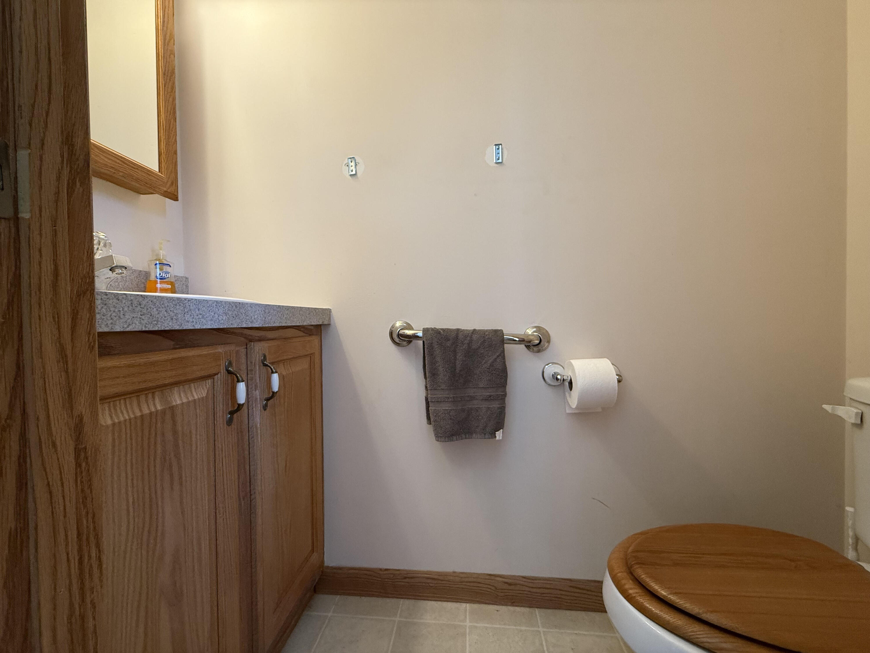 40844 County Road 669 Decatur, MI 49045 - Photo 15 of 19 CR669
