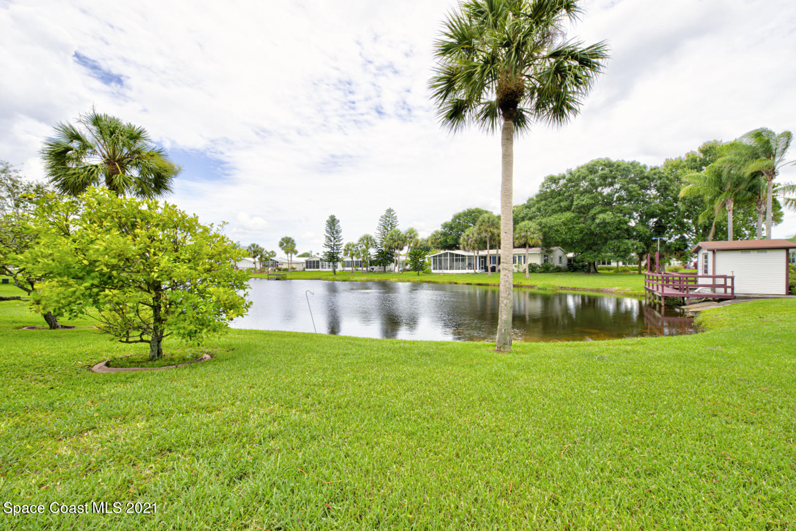 backyard on lake