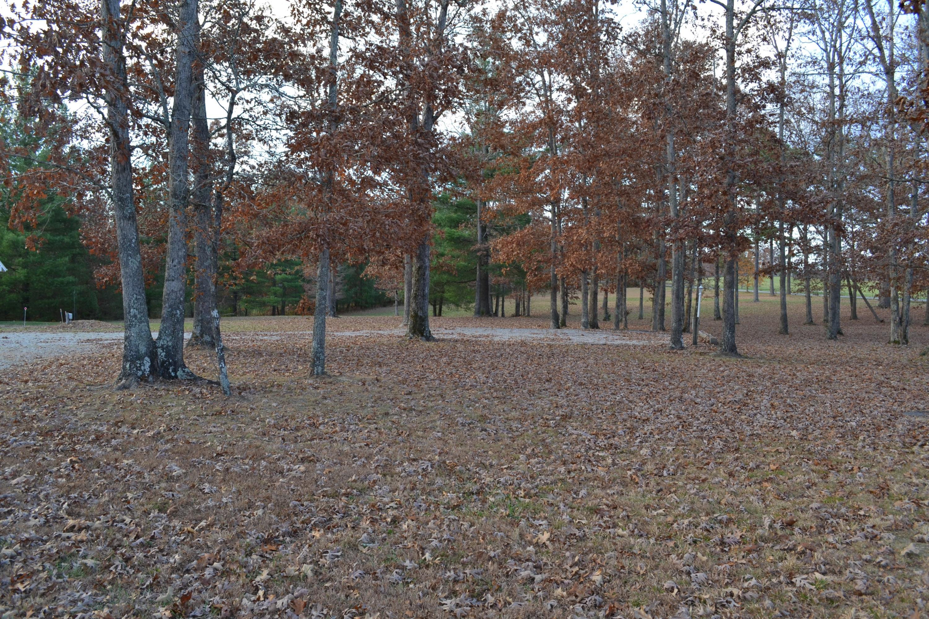 68 Meridian Road Crossville, TN 38555 - Photo 15 of 30 DSC_0867