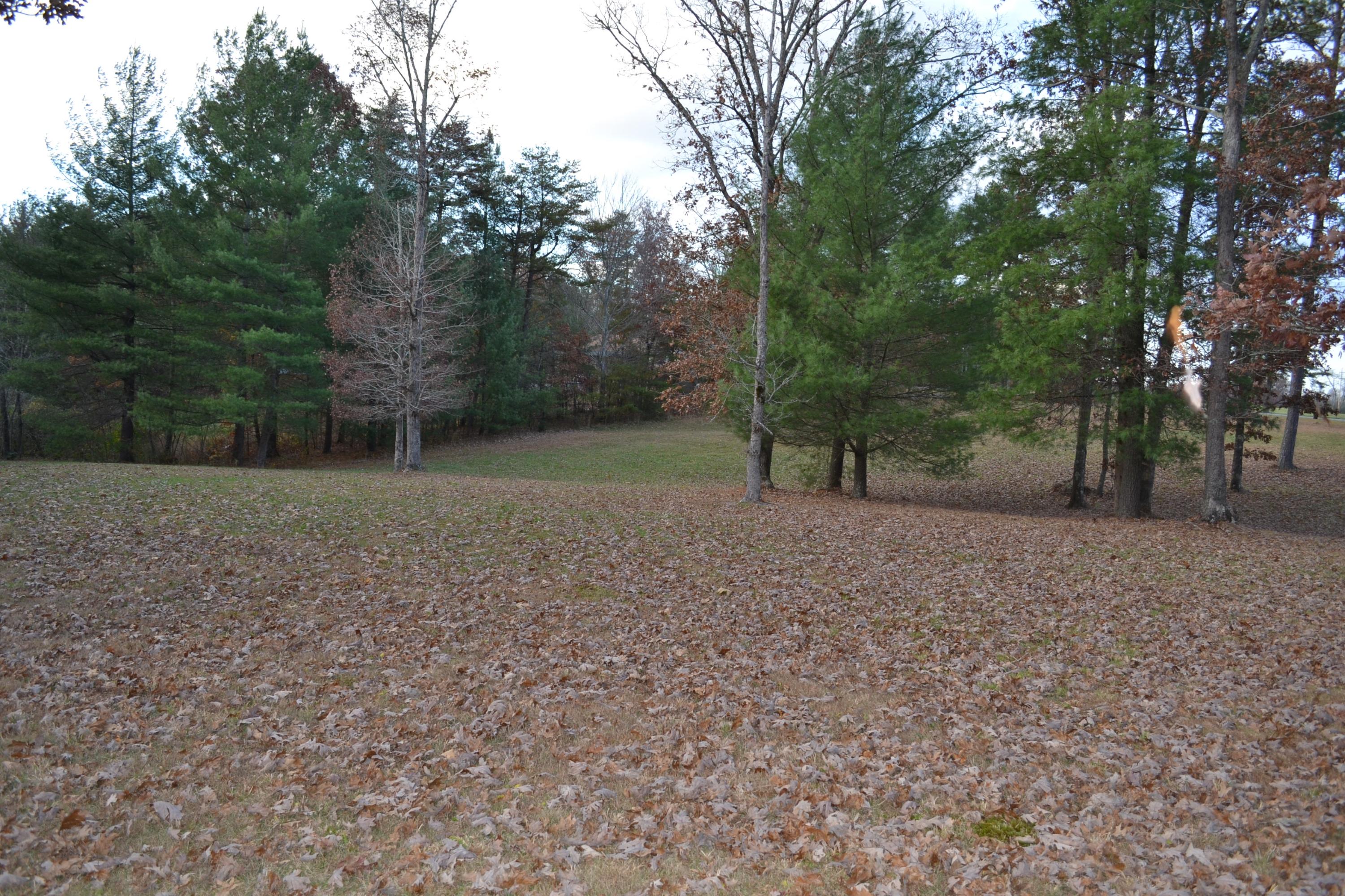 68 Meridian Road Crossville, TN 38555 - Photo 18 of 30 DSC_0873