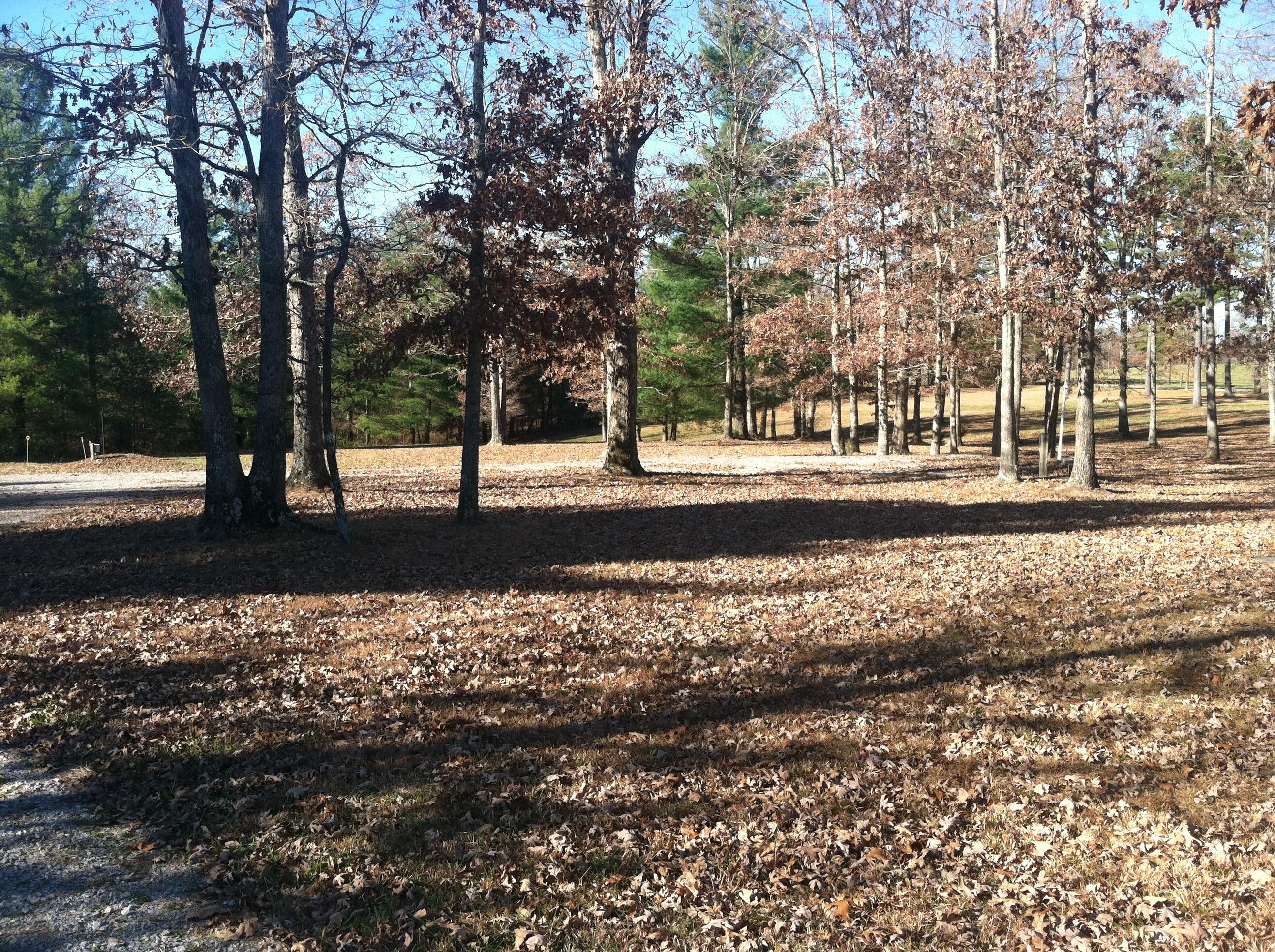 68 Meridian Road Crossville, TN 38555 - Photo 30 of 30 IMG_5949
