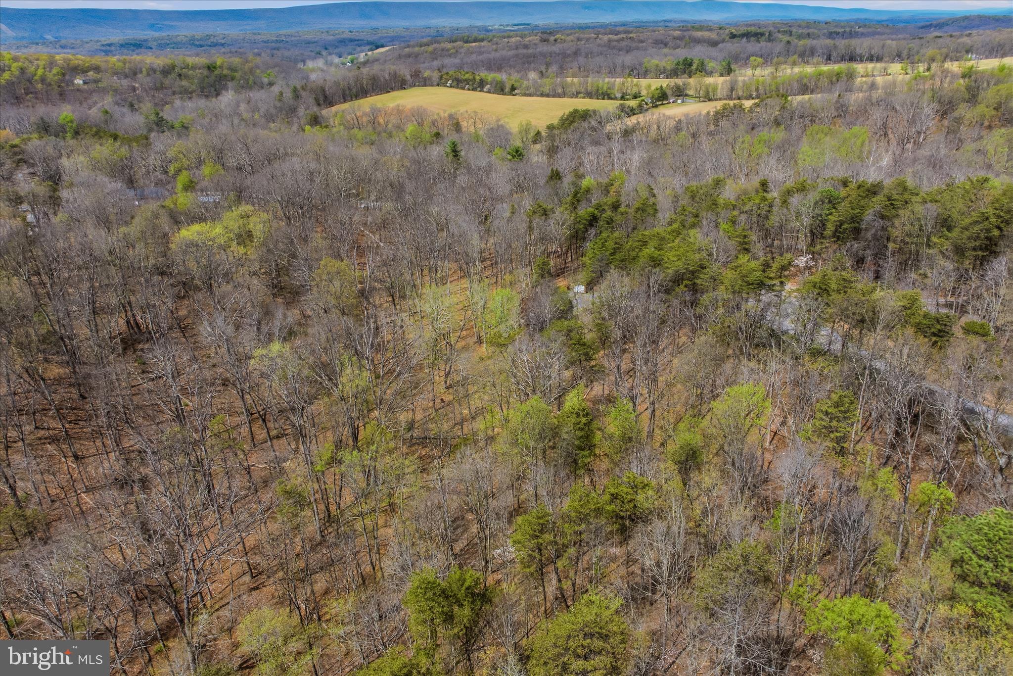 264 Clear Spring Lane Berkeley Springs, WV 25411 - Photo 34 of 38 Aerial View