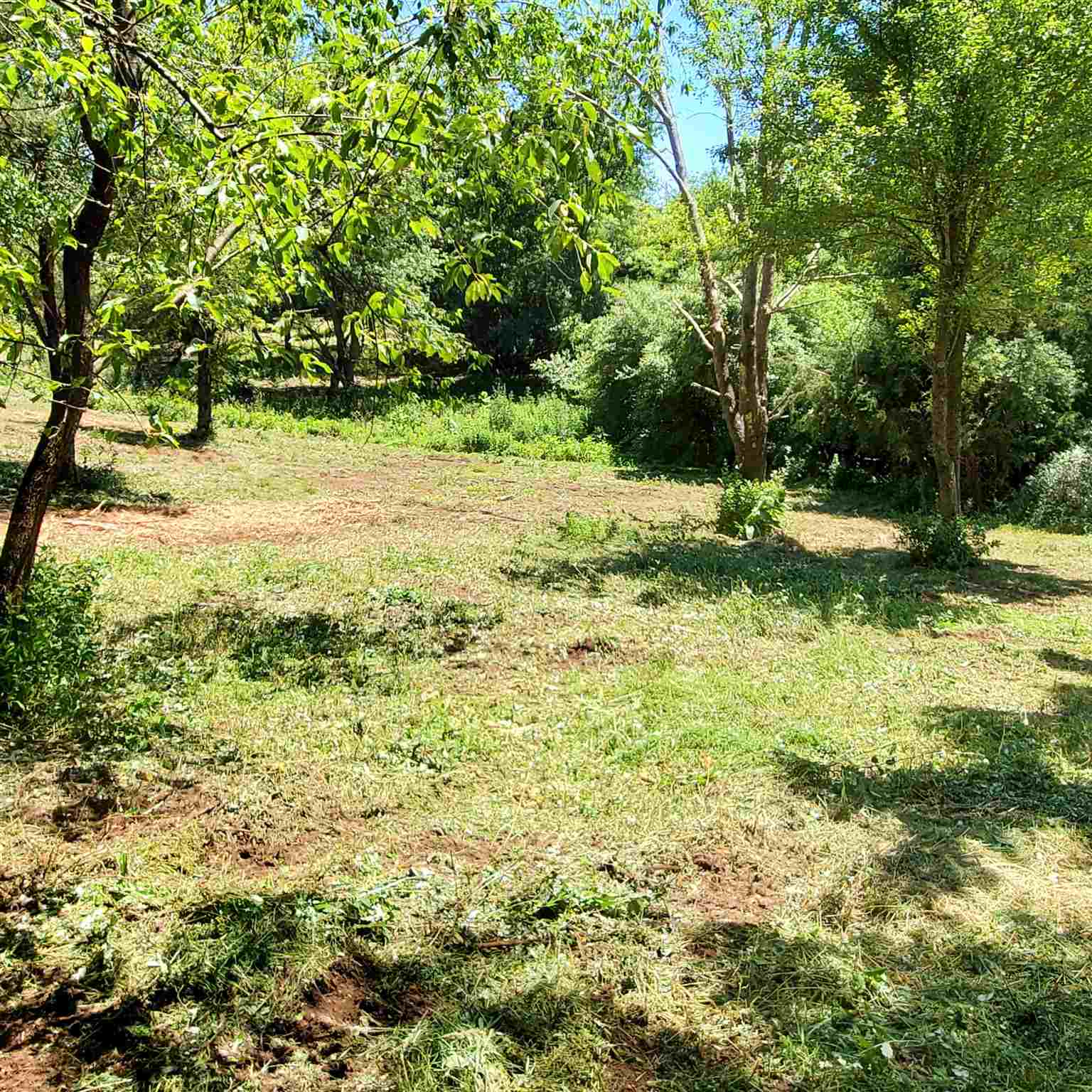 8-crown Ridge Berry Farm Road Verona, VA 24482 - Photo 7 of 18 Gallery Image 7