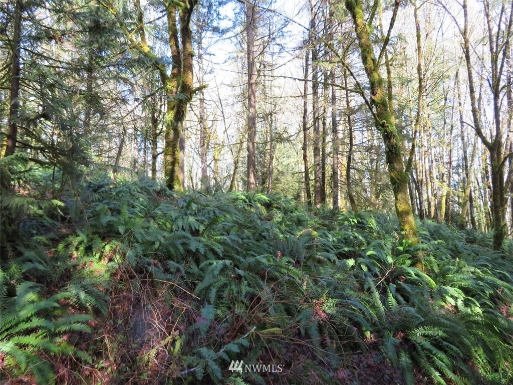 0 River Heights Road Centralia, WA 98531 - Photo 16 of 25 Gallery Image 16