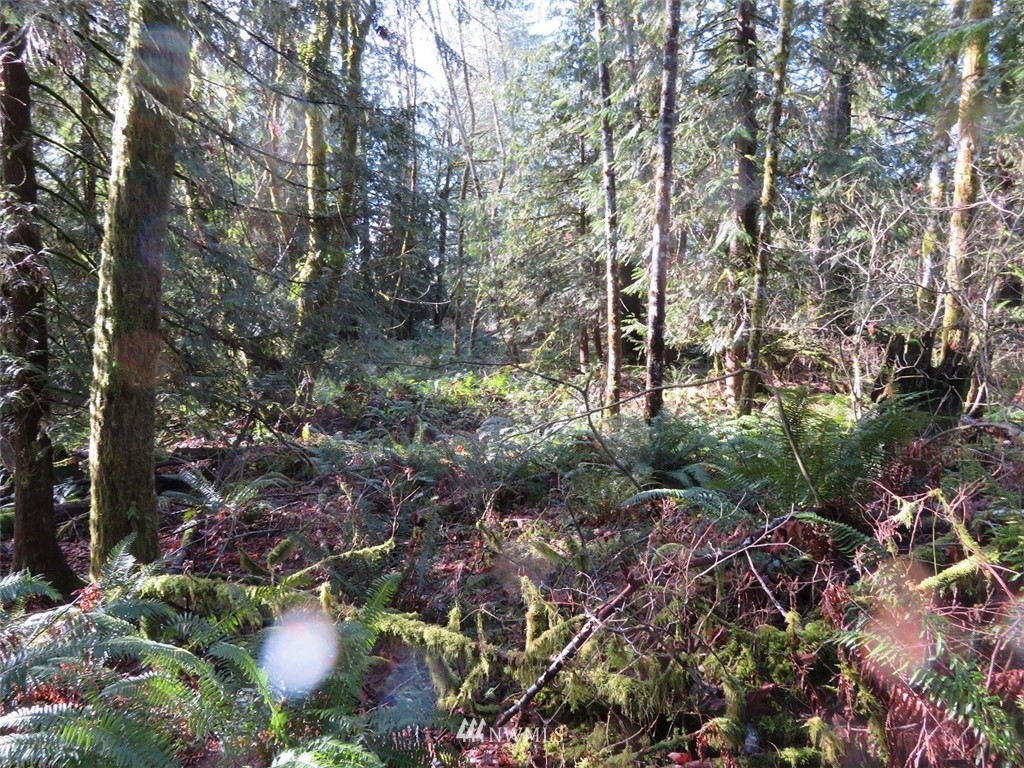 0 River Heights Road Centralia, WA 98531 - Photo 20 of 25 Gallery Image 20
