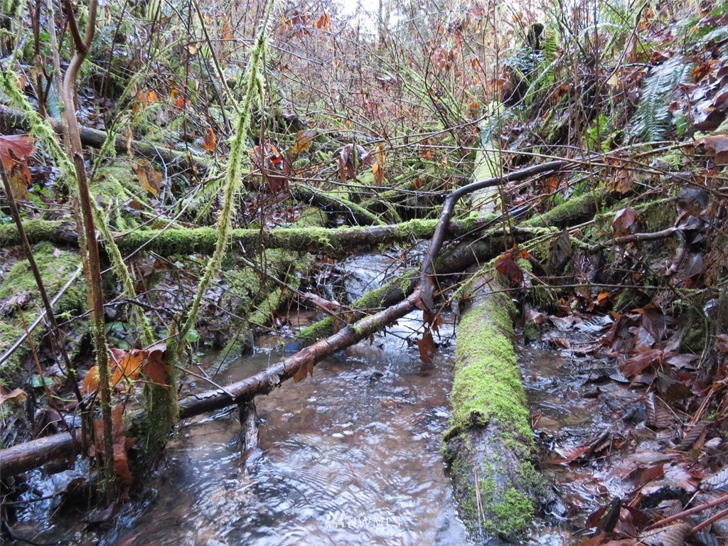 0 River Heights Road Centralia, WA 98531 - Photo 23 of 25 Gallery Image 23