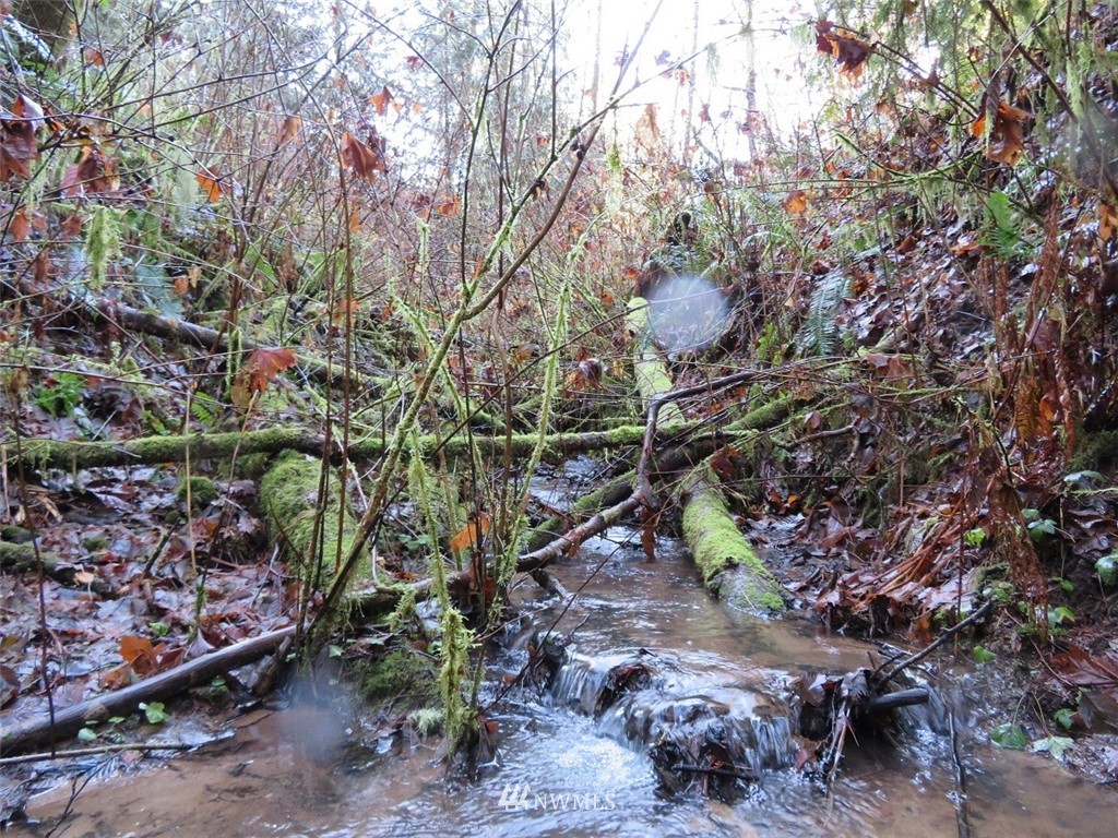 0 River Heights Road Centralia, WA 98531 - Photo 24 of 25 Gallery Image 24