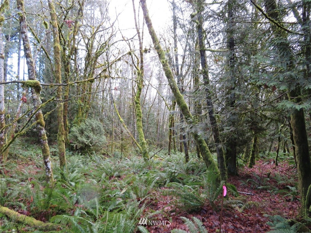 0 River Heights Road Centralia, WA 98531 - Photo 25 of 25 Gallery Image 25