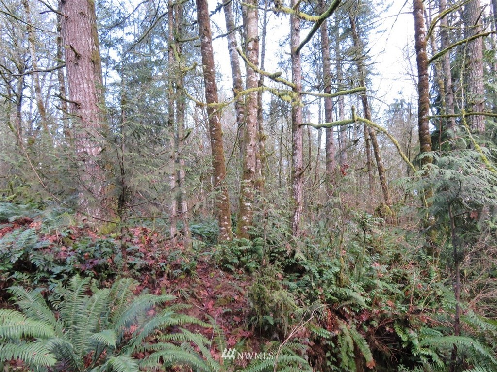 0 River Heights Road Centralia, WA 98531 - Photo 8 of 25 Gallery Image 8