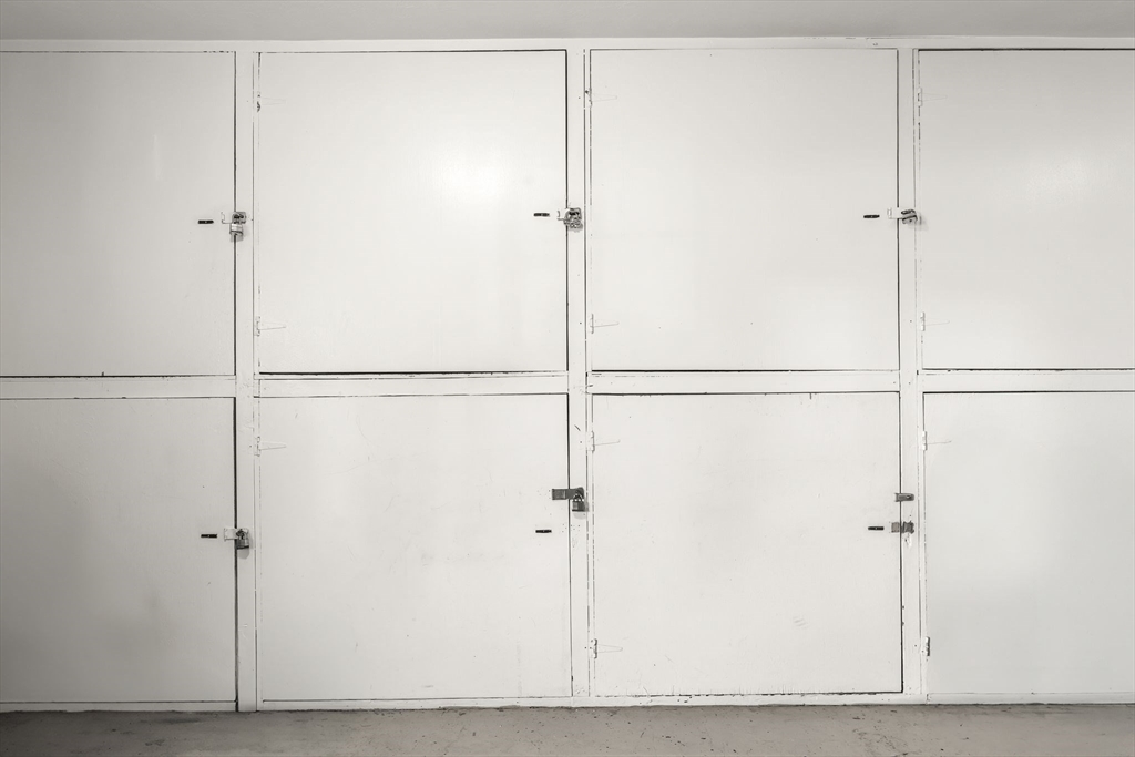 133 Warren Street, Unit 3 Watertown, MA 02472 - Photo 22 of 22 a view of a closet