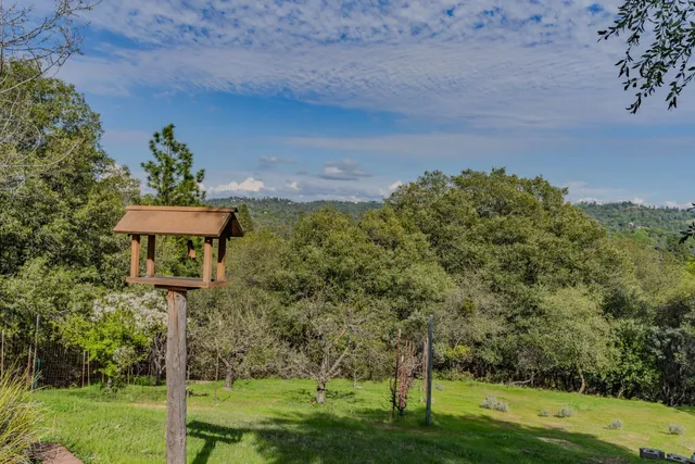 a view of a yard with a tree