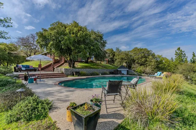 a view of a garden with plants and a bench
