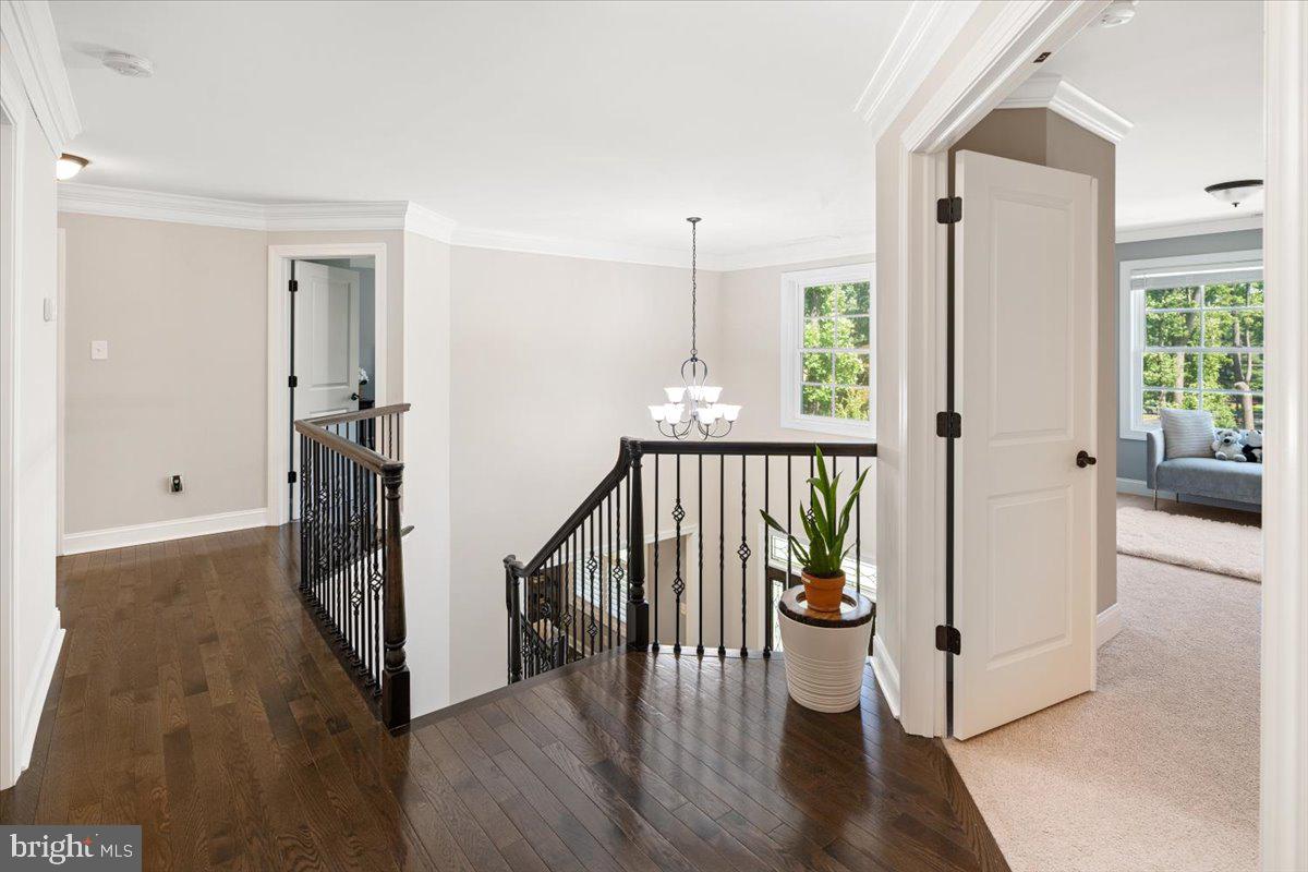 950 Molly Court Rydal, PA 19046 - Photo 22 of 44