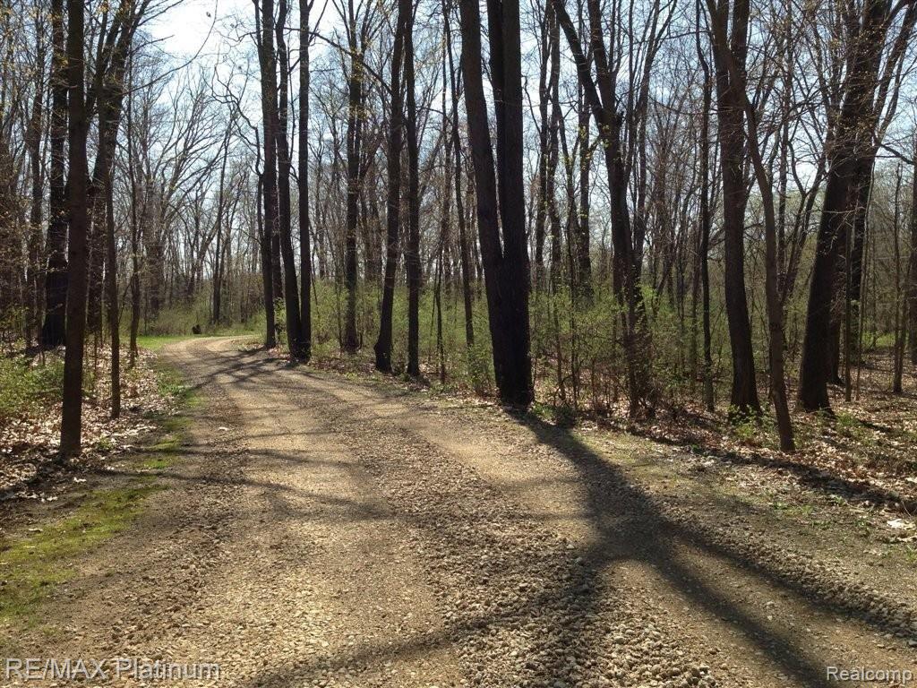 11363 Toma Road Pinckney, MI 48169 - Photo 2 of 21 Drive Way