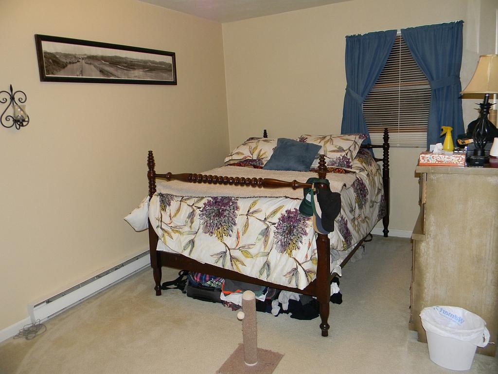 3884 Pitzer Road Roanoke, VA 24014 - Photo 12 of 22 Bedroom 1 Furnished