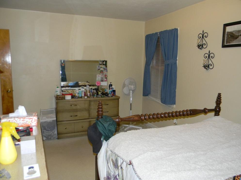 3884 Pitzer Road Roanoke, VA 24014 - Photo 14 of 22 Bedroom 1 Furnished
