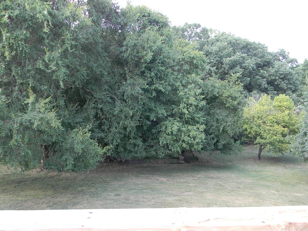 3884 Pitzer Road Roanoke, VA 24014 - Photo 21 of 22 Rear Yard from Deck