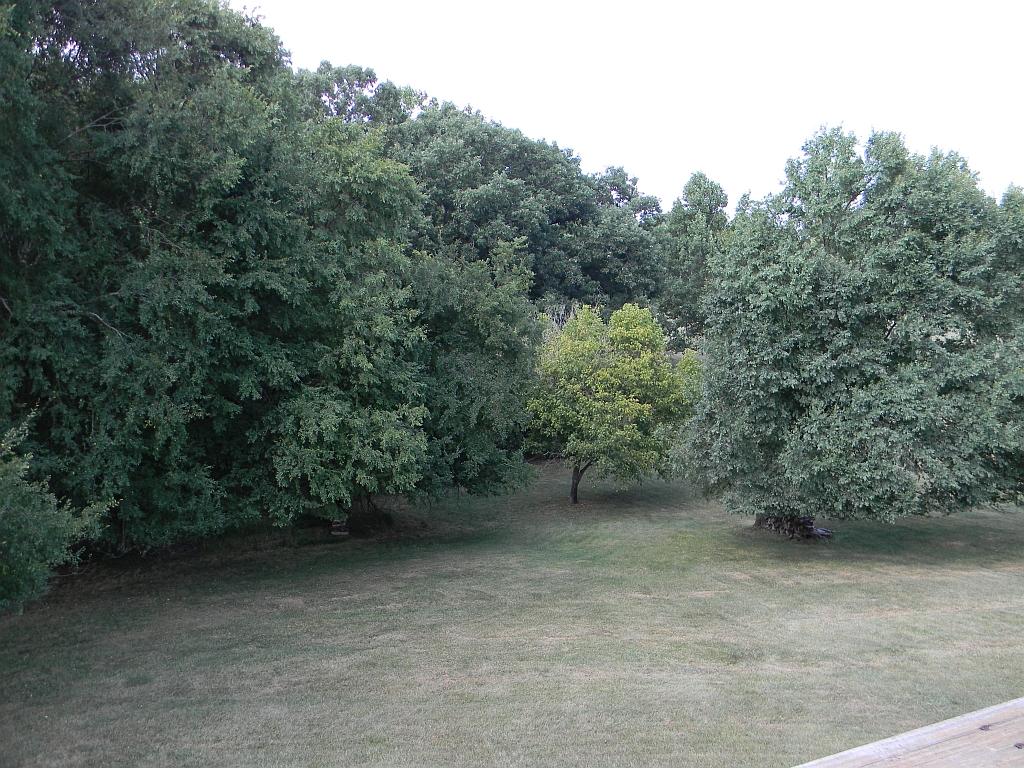 3884 Pitzer Road Roanoke, VA 24014 - Photo 22 of 22 Rear Yard from Deck