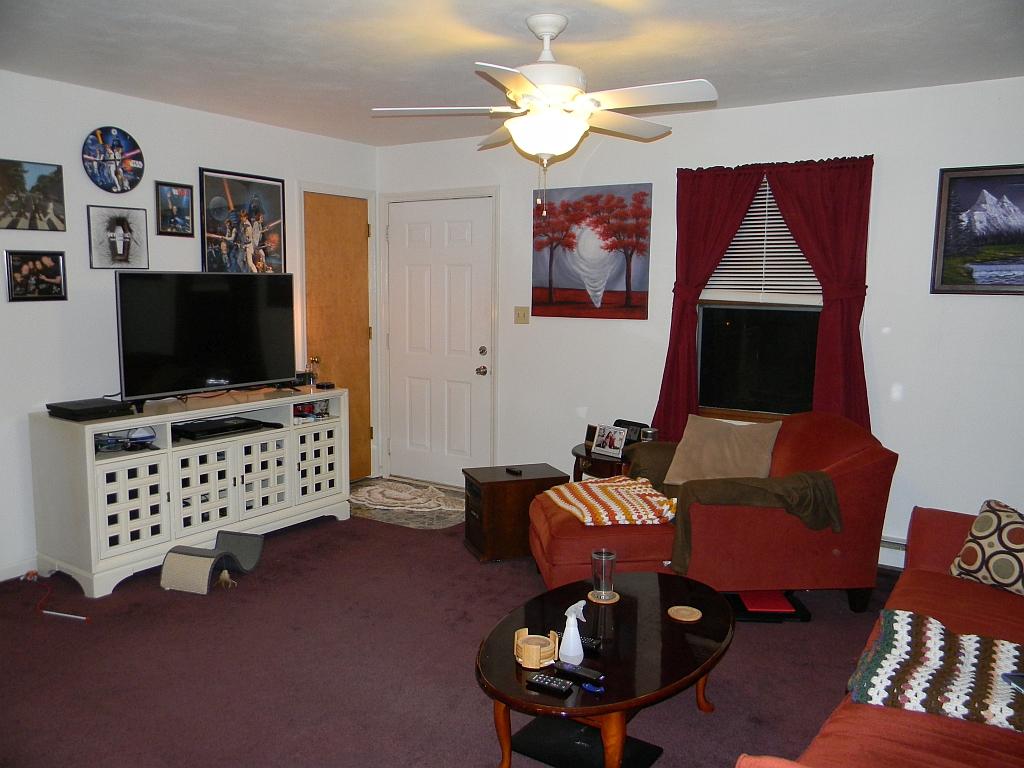 Living Room Furnished