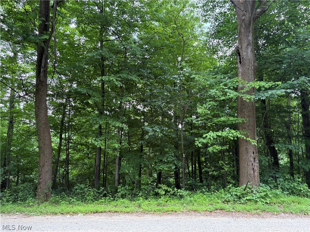 38532 Township Road Sardis, OH 43946 - Photo 9 of 15