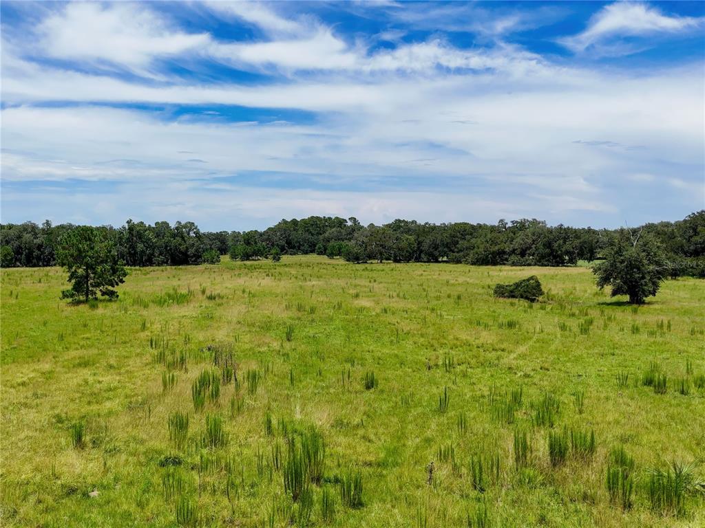 20089 Ayers Road Brooksville, FL 34604 - Photo 12 of 41