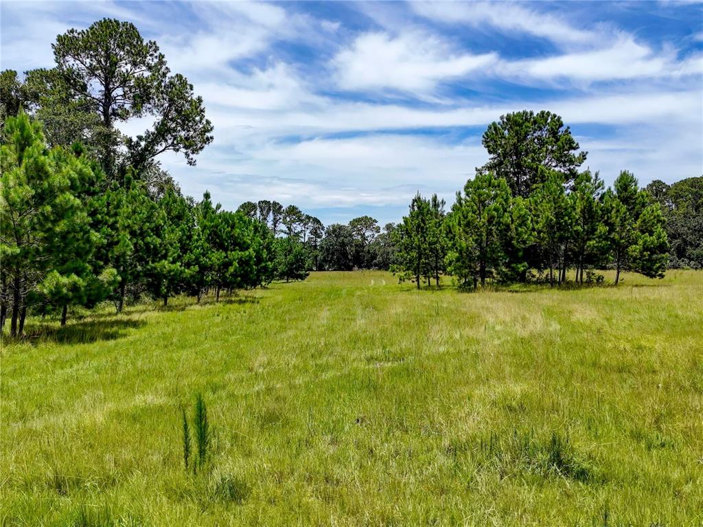 20089 Ayers Road Brooksville, FL 34604 - Photo 13 of 41