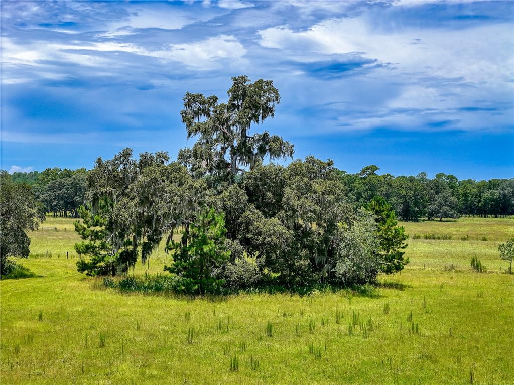 20089 Ayers Road Brooksville, FL 34604 - Photo 14 of 41