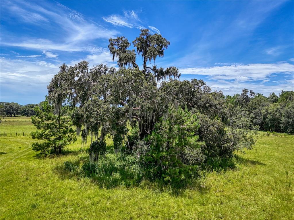 20089 Ayers Road Brooksville, FL 34604 - Photo 15 of 41