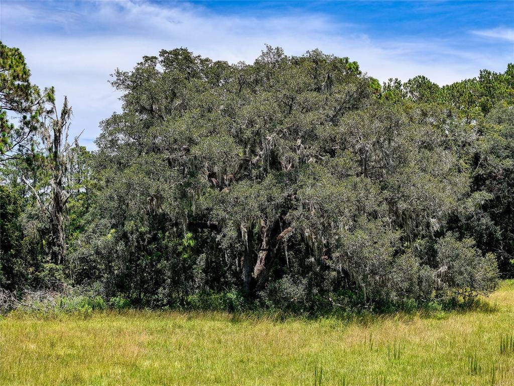 20089 Ayers Road Brooksville, FL 34604 - Photo 16 of 41