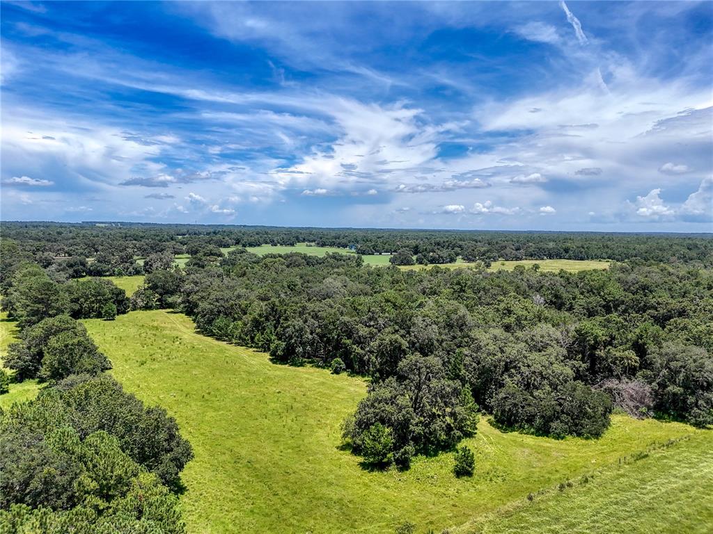 20089 Ayers Road Brooksville, FL 34604 - Photo 20 of 41