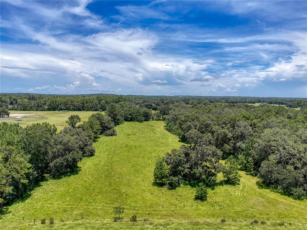 20089 Ayers Road Brooksville, FL 34604 - Photo 21 of 41