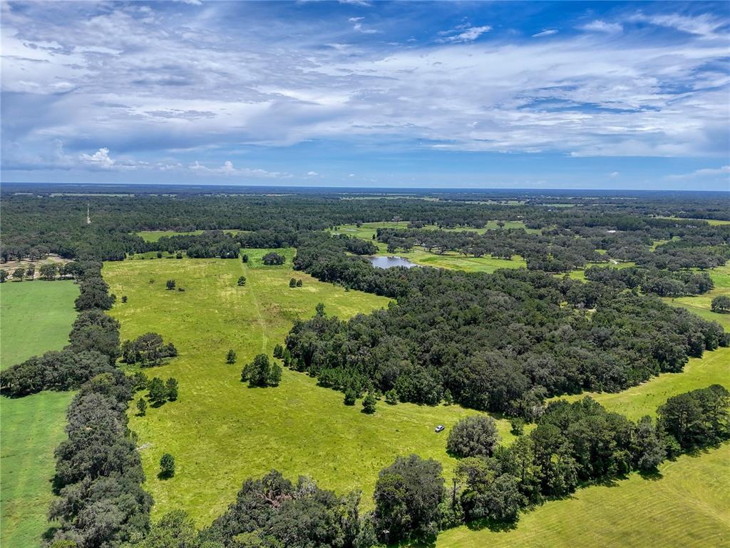 20089 Ayers Road Brooksville, FL 34604 - Photo 23 of 41