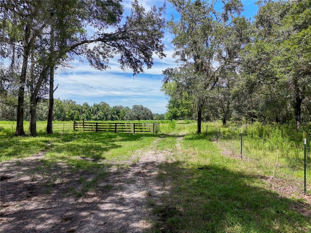 20089 Ayers Road Brooksville, FL 34604 - Photo 24 of 41