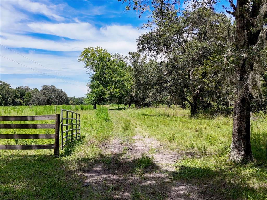 20089 Ayers Road Brooksville, FL 34604 - Photo 26 of 41