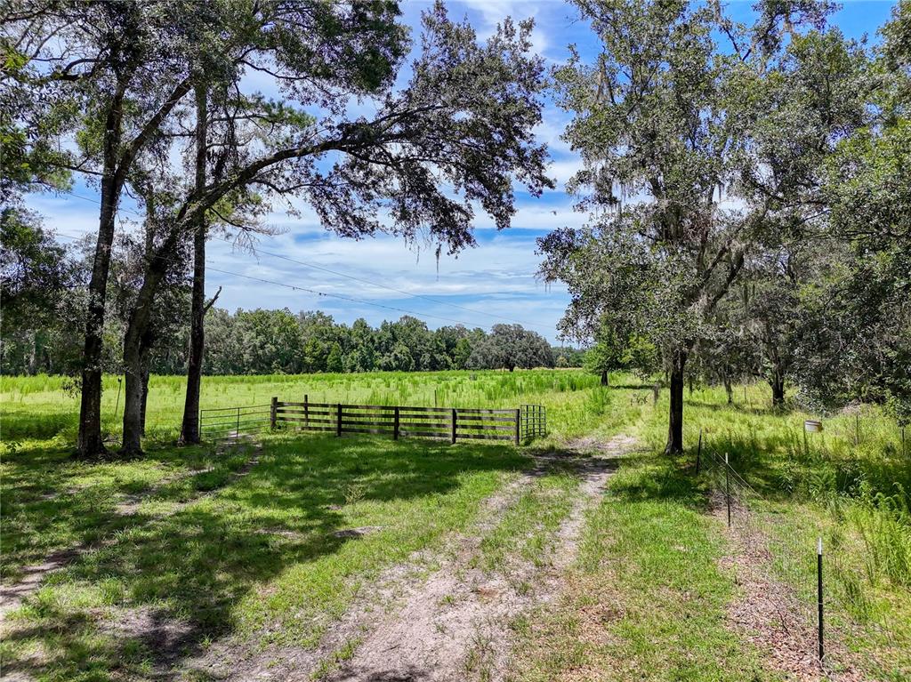 20089 Ayers Road Brooksville, FL 34604 - Photo 27 of 41