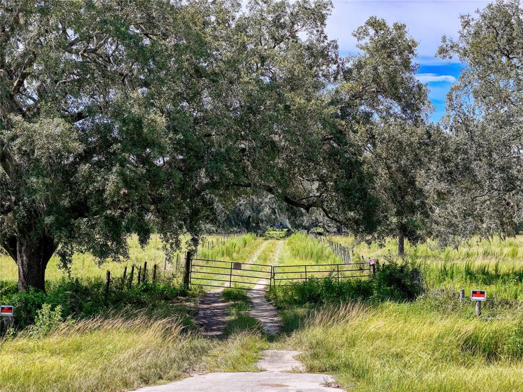 20089 Ayers Road Brooksville, FL 34604 - Photo 31 of 41