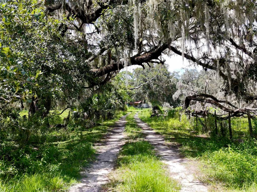 20089 Ayers Road Brooksville, FL 34604 - Photo 32 of 41