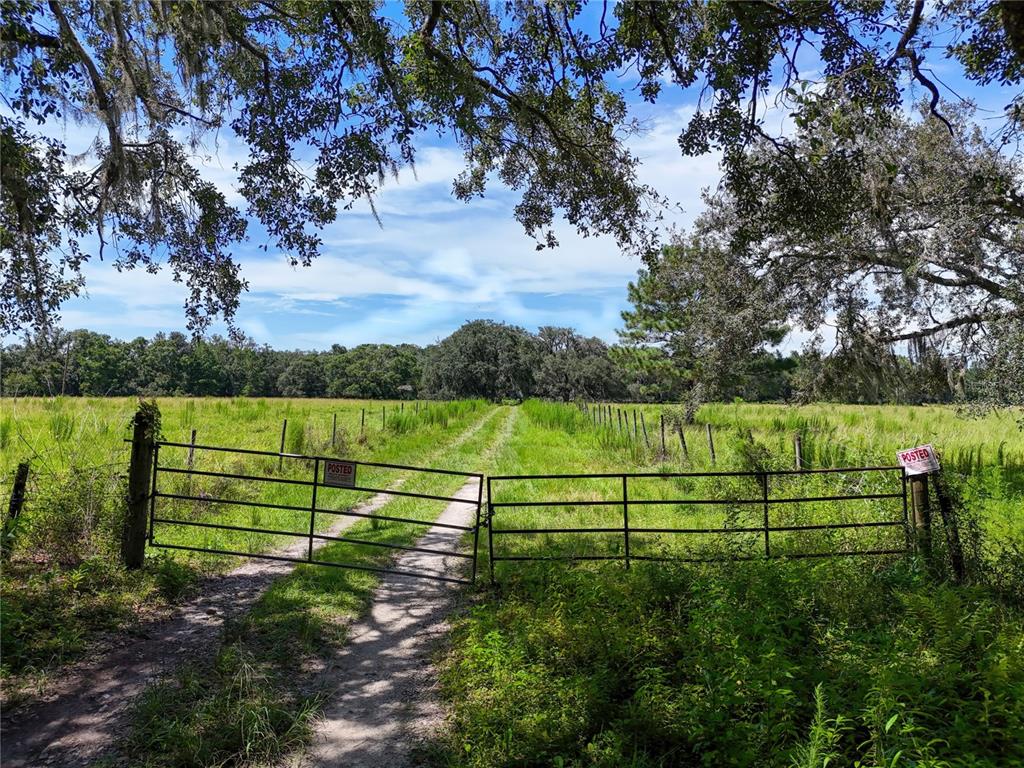 20089 Ayers Road Brooksville, FL 34604 - Photo 33 of 41