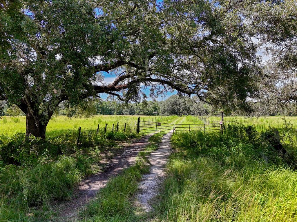 20089 Ayers Road Brooksville, FL 34604 - Photo 34 of 41