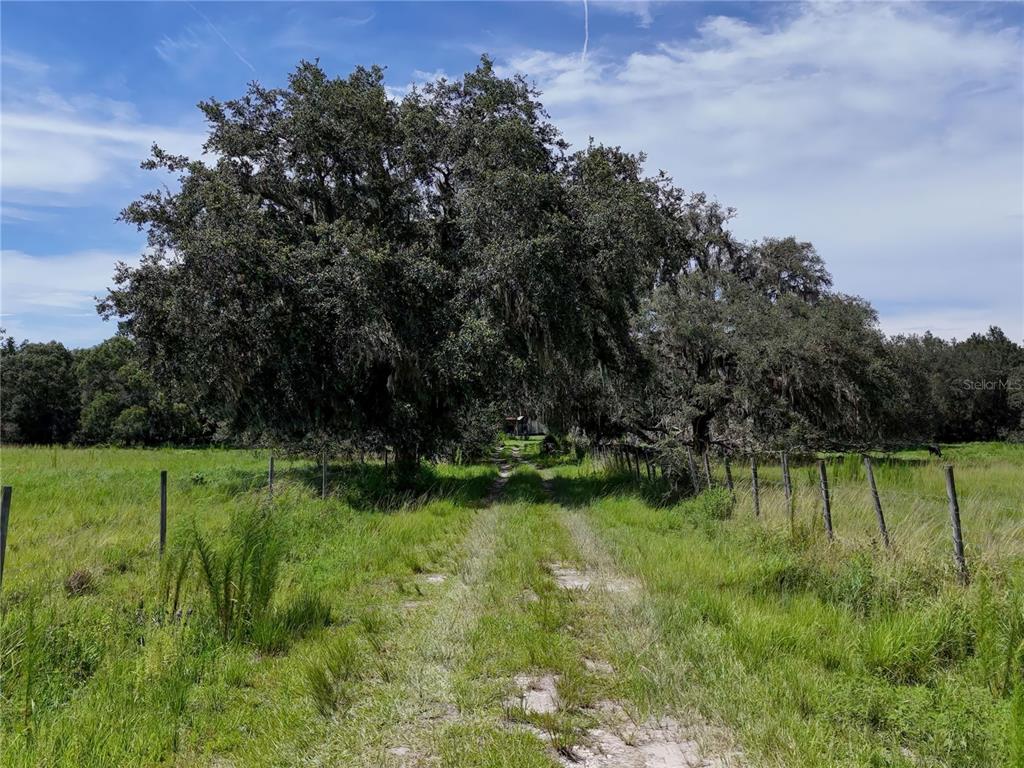 20089 Ayers Road Brooksville, FL 34604 - Photo 35 of 41