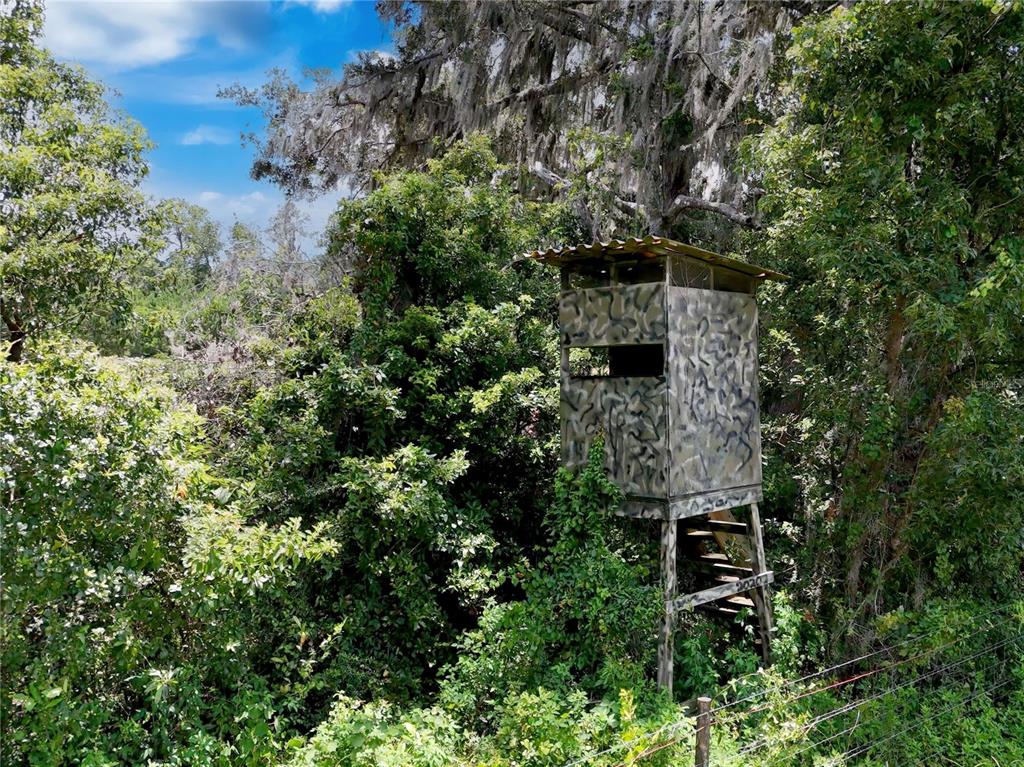 20089 Ayers Road Brooksville, FL 34604 - Photo 37 of 41