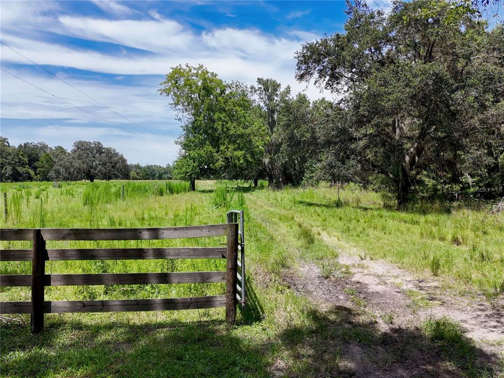 20089 Ayers Road Brooksville, FL 34604 - Photo 38 of 41